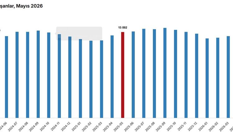 TÜİK: Salaried Workforce Grows 0.5% Year-on-Year