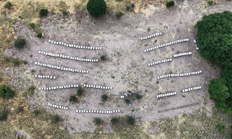 Tunceli yaylalarında bal sağım sezonu resmen start aldı - Son Dakika Haberleri | İşte Tüm Ayrıntılar