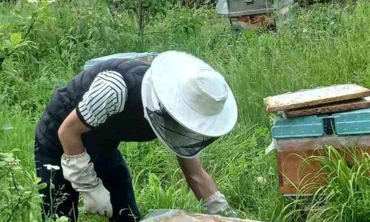 An era has ended at Türkiye's first Beekeeping School - Last Minute