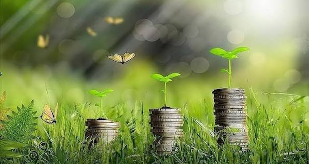 Türkiye's Green Finance Strategy was announced: 45 actions will be implemented - News