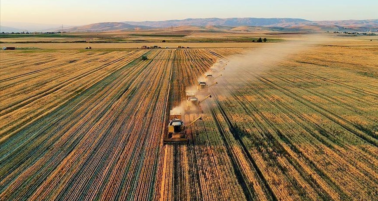 Türkiye broke a historical record in agriculture: It reached 83.2 billion dollars - Latest News