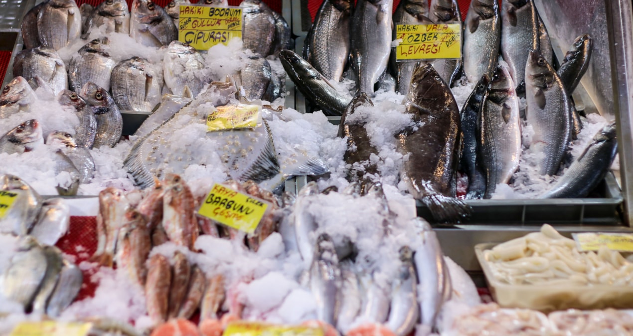 Türkiye earned billions of dollars by selling those three fish to the world - Breaking News