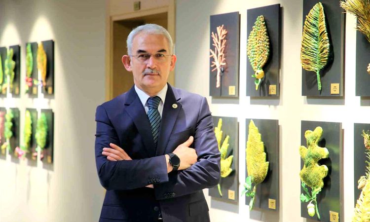 Gündemden Son Bilgiler: Türkiye'ye lavanta ihracatı ile 5 yılda ekosisteme 765 bin dolar döviz girdisi sağland