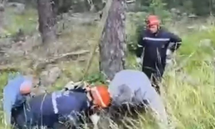 Uçuruma yuvarlanan ineği itfaiye vinçle kurtardı - Haberleri | İşte Tüm Ayrıntılar