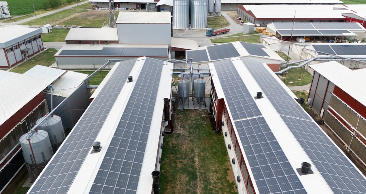 Ülkenin 1 numaralı enerji firmasına kayyum şoku: Yüzlerce çalışan iş arıyor - Son Dakika - Son Dakika Bilgiler