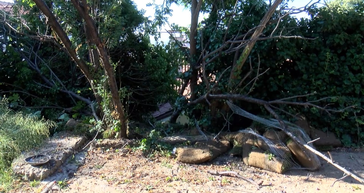 Forklift crashed into the garden of a house in Üsküdar: 1 worker died - Latest News