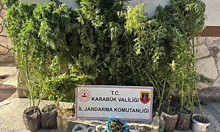 Uyuşturucu ve kaçakçılık operasyonu: 3 kişi yakalanarak gözaltına sevk edildi - Son Dakika Bilgileri