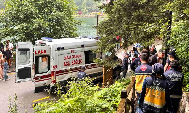 A car flew off the observation deck in Uzungöl: 2 Arab tourists were injured - Breaking News