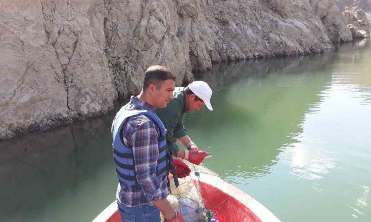 Van'da sazangil av yasağı sona erdi - Son Dakika | İşte Tüm Ayrıntılar