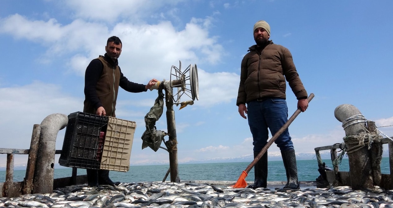 Son Gelişme: Yağışlar yüzleri güldürdü: Bu yıl tezgahlarda ucuza satılacak - Son Dakika Haberleri | İşte Tüm A