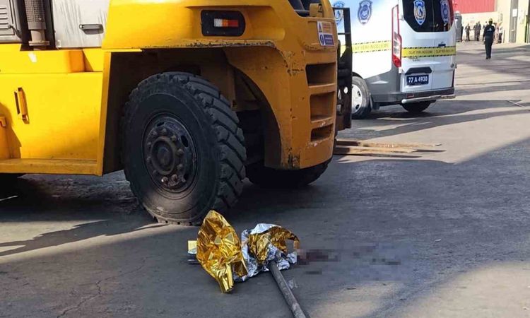 Yalova'da forklift kazası: 1 ölü - Haberleri - Son Dakika Bilgileri