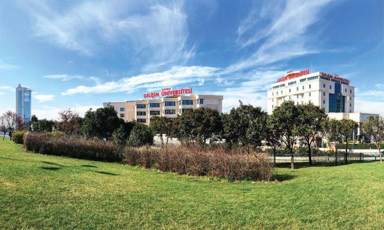 Gündemden Son Bilgiler: Yapay Zeka ve Kadın İstihdamı: Riskler ve Fırsatlar - Haberleri