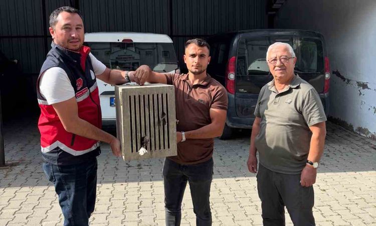 Ayrıntılar Netleşti: Yaralı halde bulunan leylek, koruma altına alındı - Haberleri