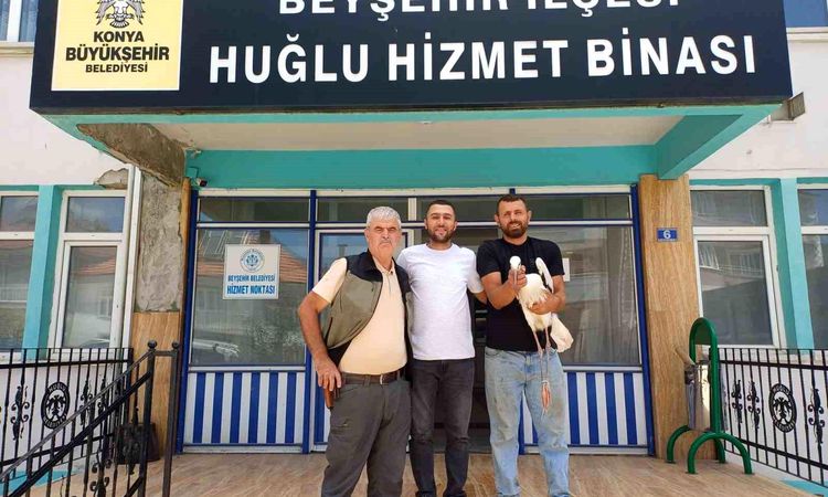 Ayrıntılar Netleşti: Yaralı leylek koruma altına alındı - Son Dakika