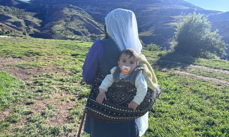 Kritik Açıklama: Yaylalarda başlayan emek, Erzincan tulum peyniri olarak sofralara ulaşıyor - Haberleri | İşte