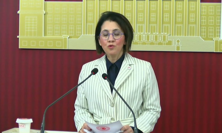 YENİ Partili Yaman: "Ailelerin güvende olması isteniyorsa kadın cinayetleri ve istismar sorunları çözülmeli":