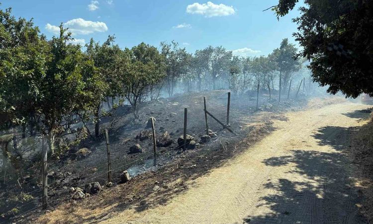 Son Gelişme: Yenice'de tarım arazisinde alevler dizginlendi - Son Dakika: Gelişmeler Takip Ediliyor