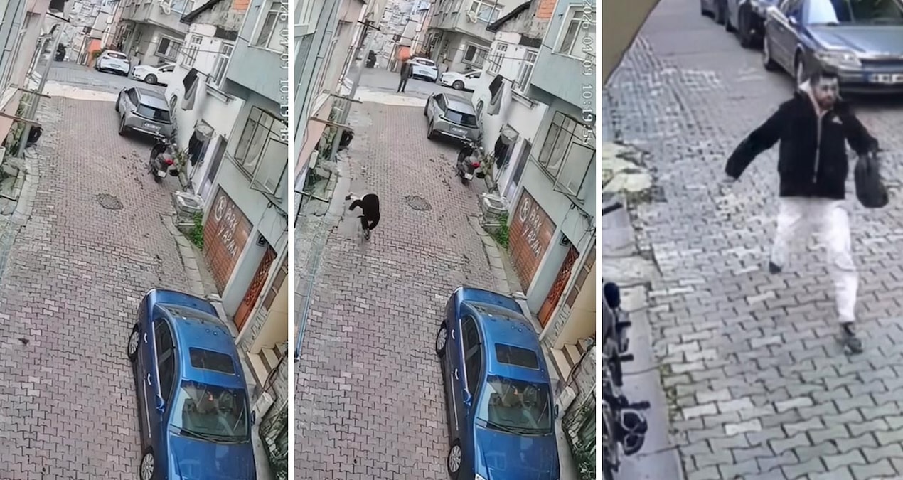 Yer: İstanbul... 'Örümcek Adam' mahalleyi ayağa kaldırdı - Son Dakika Haberleri | İşte Tüm Ayrıntılar