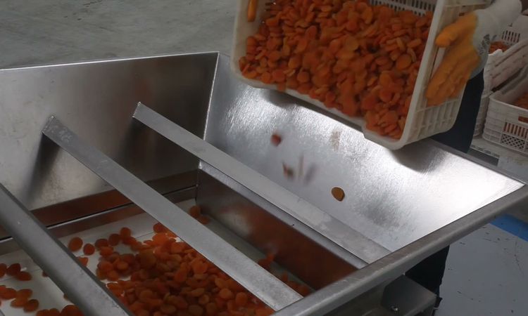 Ayrıntılar Netleşti: Yeşilyurt Ziraat Odası Başkanı Solmaz: “Kayısı ihracatındaki düşüş Malatya ekonomisine za