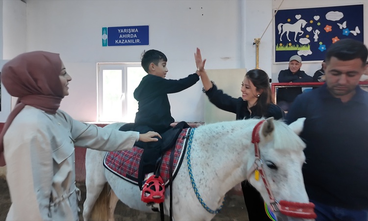 YÖK, Ankara'daki hippoterapi merkezinin 20 kanser hastasıyla araştırmasını kamuoyuna ilan etti