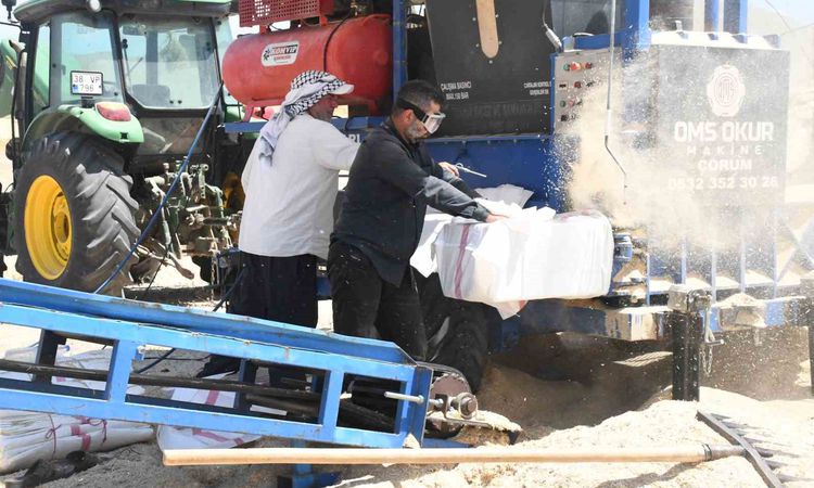 Kritik Açıklama: Yozgat’ta saman mesaisi: Tozun içinde ekmek mücadelesi - Son Dakika ve Merak Edilenler