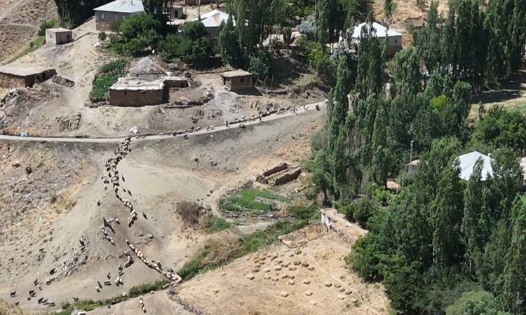 Gündemden Son Bilgiler: Yüksekova'da besiciler su göleti istiyor - Son Dakika