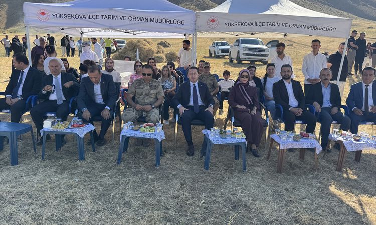 Son Gelişme: Yüksekova'da Kadın Kooperatifinin Nohut Hasadı - Son Dakika: Gelişmeler Takip Ediliyor