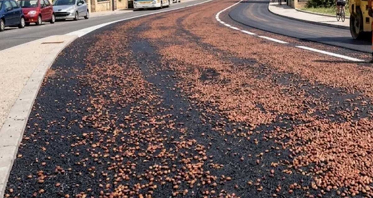 They started to pour olive pits on the roads - News