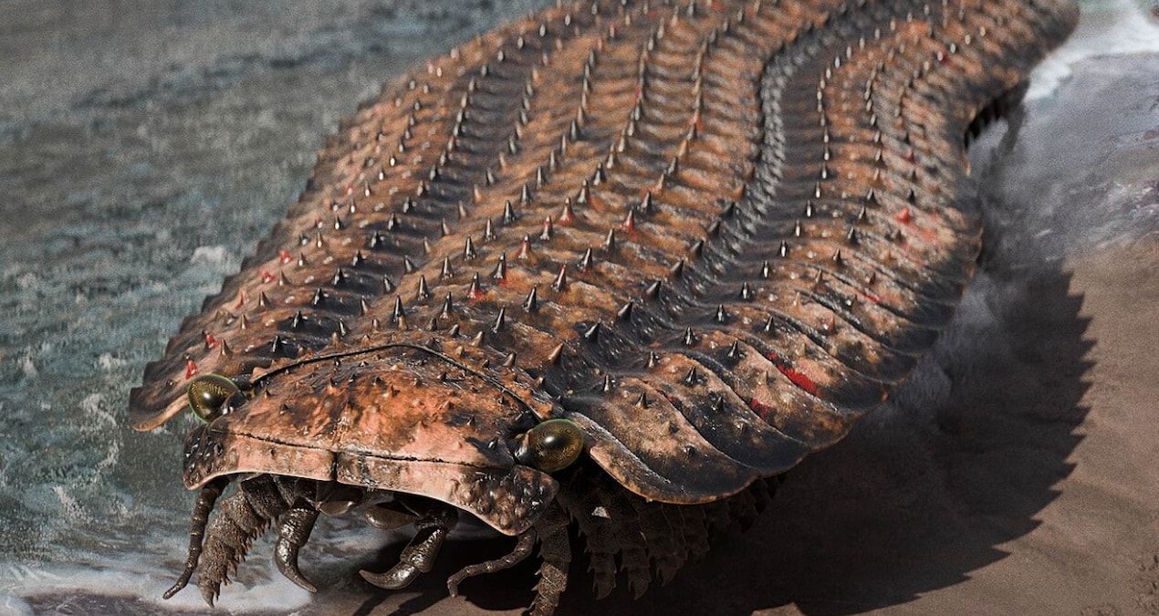 It had an armor-like body and was 2.6 meters long: Its biggest mystery was finally solved - News
