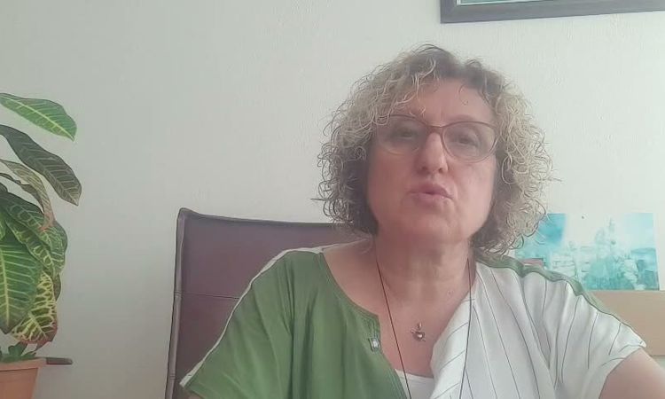 Ayrıntılar Netleşti: ZMO Samsun Şube Başkanı Bayzat: "Fındık üreticisi kaderine terk edildi" - Son Dakika