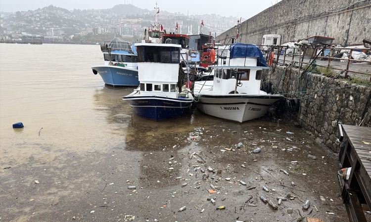 Zonguldak'ta sağanak limanda deniz suyunu sarı ve kahverengi tonlara büründürdü | İşte Tüm Ayrıntılar